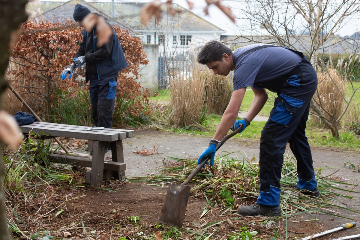 Pendennis apprentice clearing leaves and debris during a volunteer day at Falmouth Hospital gardens.