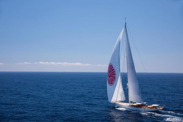 Sailing yacht Vijonara cruising in open water with a distinctive red emblem on her white spinnaker.