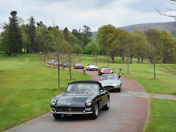 A line of classic cars, led by a black Ferrari, drives along a tree-lined path during Pendennis’ Classic Car Rally.